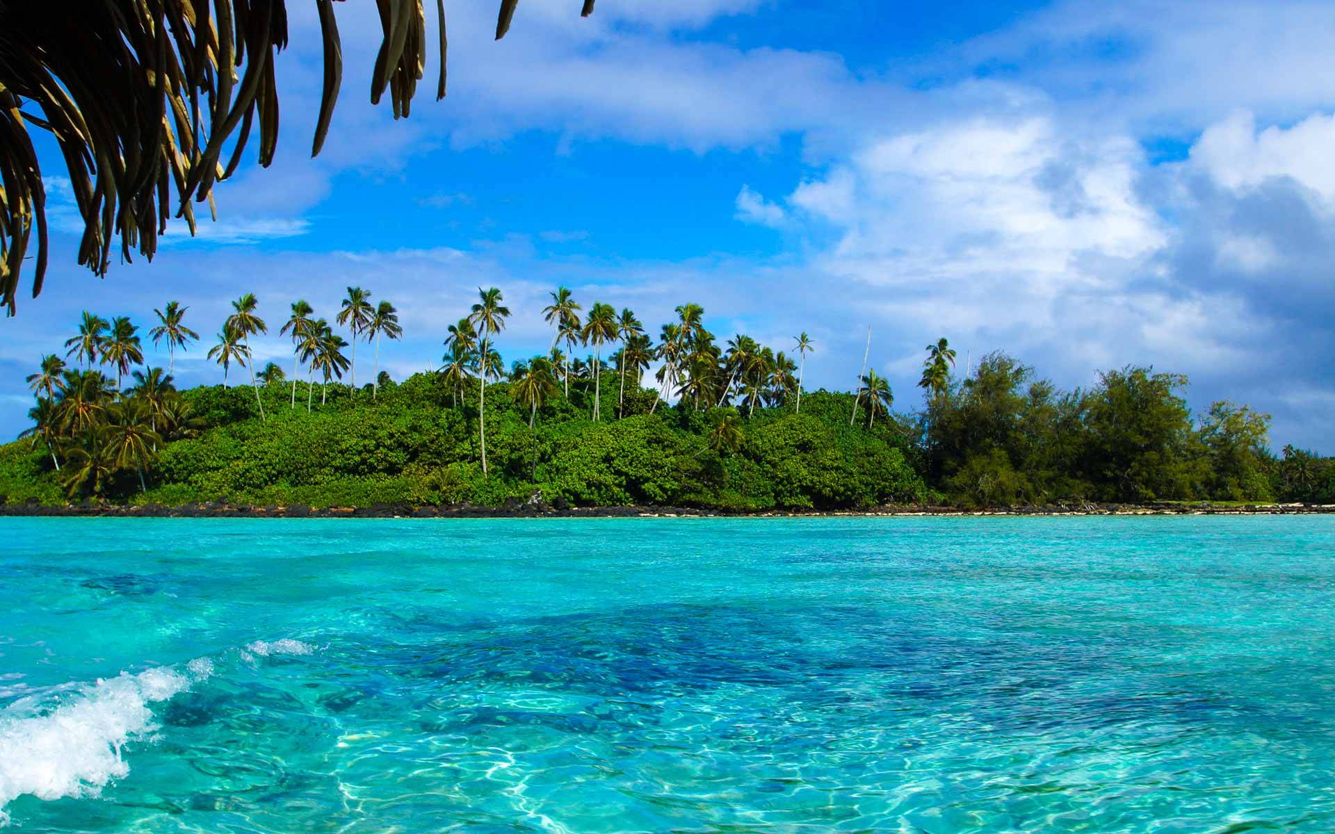Unter dem Schatten einer Palme liegt der Blick auf glasklares Wasser und die bewachsene Lagune auf Rarotonga in der Südsee.